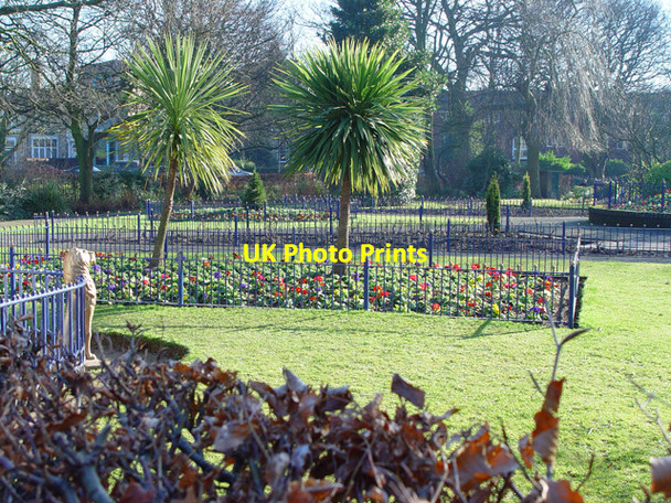 Photo 6"x4" Formal Gardens, Pearson Park, Hull Kingston upon Hull c2008