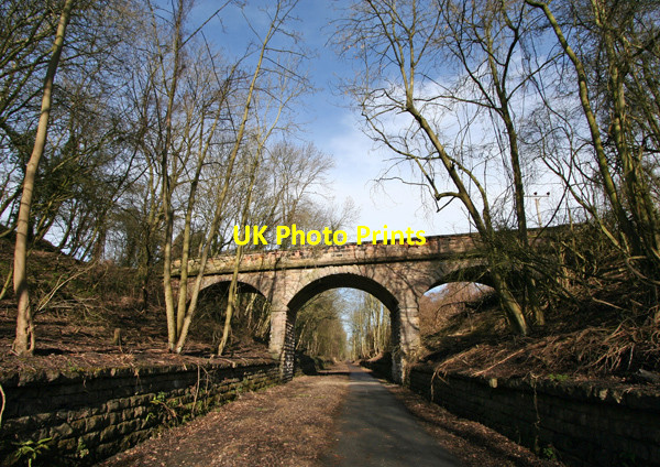 Photo 6"x4" Thorpe Arch Railway Cutting Thorp Arch c2008