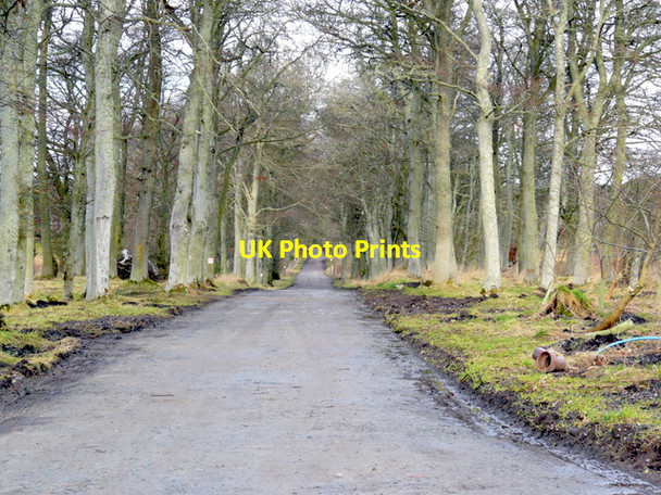 Photo 6"x4" Road to Bogbain Tain\/NH7881 c2008