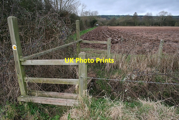 Photo 6"x4" Footbridge, Ryemeadows Rushall\/SO6434 c2008