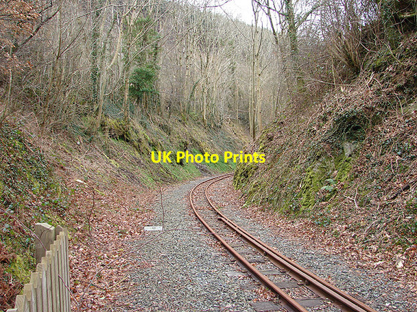 Photo 6"x4" Vale of Rheidol Railway Aberffrwd\/SN6878 c2008