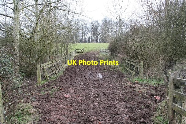 Photo 6"x4" Track to Long Covert Duckswich c2008
