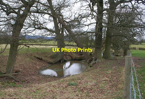 Photo 6"x4" Pond near Duckswich Duckswich c2008