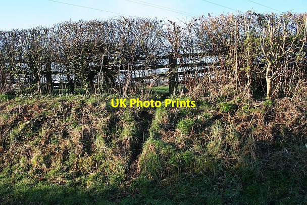 Photo 6"x4" Badger Run Marl Bank c2008