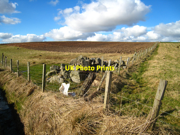 Photo 6"x4" Labours past Whinnyfold c2008