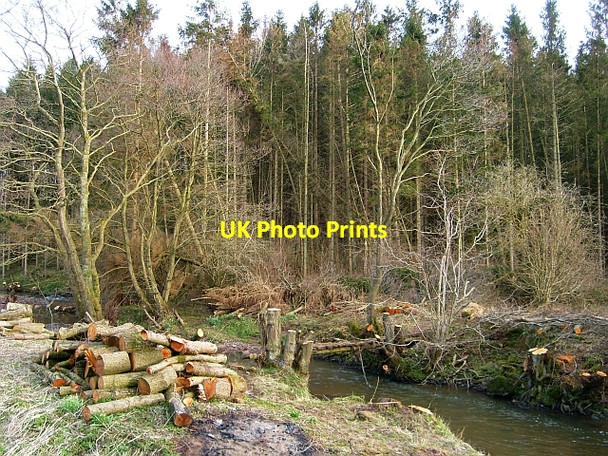 Photo 6"x4" Footbridge over River Ive Highbridge\/NY3943 c2008