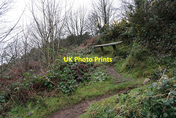 Photo 6"x4" Wonky Bench Great Malvern c2008