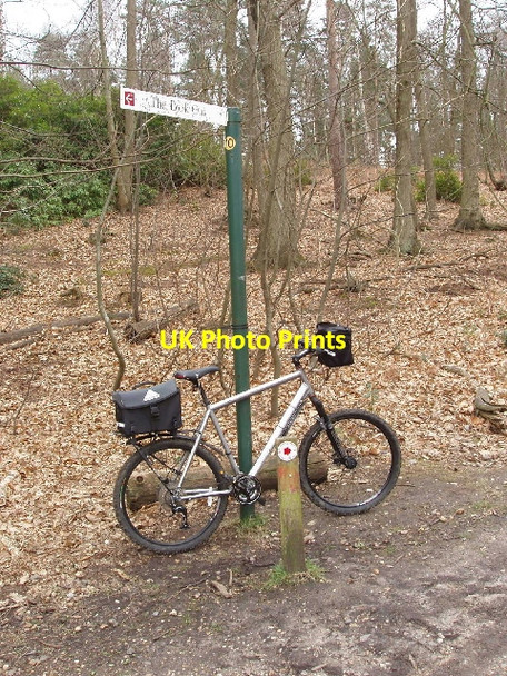 Photo 6"x4" Signpost and bike, Swinley Forest Birch Hill\/SU8766 c2008