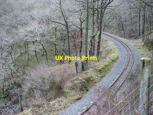 Photo 6"x4" Vale of Rheidol Railway Embankment Devil's Bridge\/Pontarfynach c2008