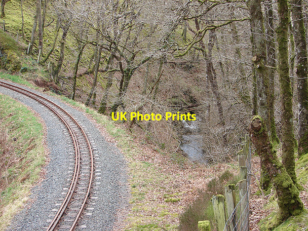 Photo 6"x4" The Vale of Rheidol Railway crossing Nant-y-fawnog Devil's Bridge\/Pontarfynach c2008