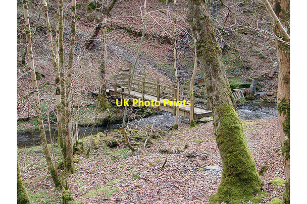 Photo 6"x4" Footbridge crossing Nant-y-fawnog Devil's Bridge\/Pontarfynach c2008