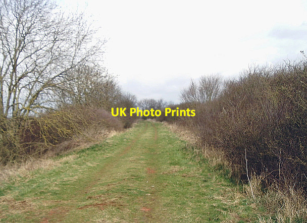 Photo 6"x4" Course of former railway south of Somersham Colnefields c2008