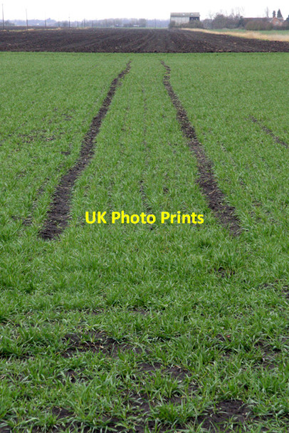 Photo 6"x4" Field on Tonge Farm Kirkstead\/TF1961 c2008