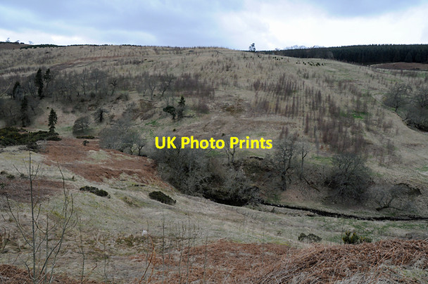 Photo 6"x4" Water of May Path of Condie c2008