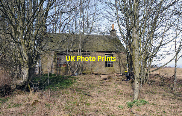 Photo 6"x4" Derelict Cottage Braegrum c2008