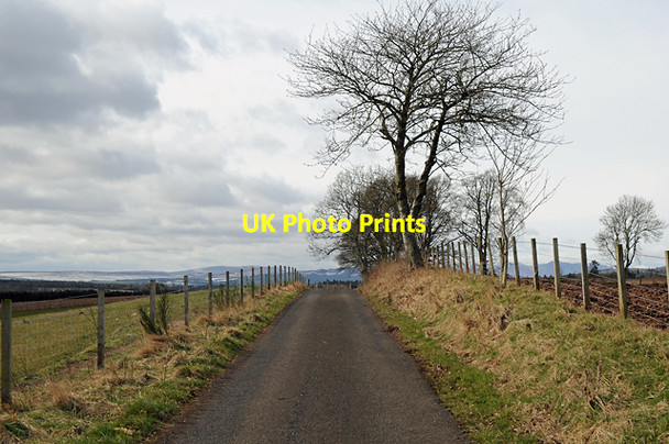 Photo 6"x4" Road to Woodend St David's c2008