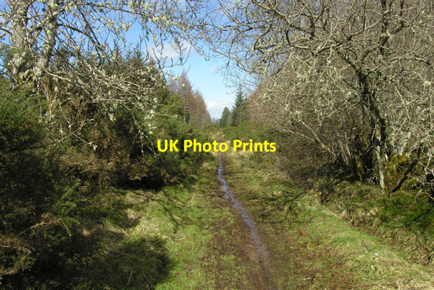 Photo 6"x4" General Wade's Military Road. Daviot\/NH7239 c2008
