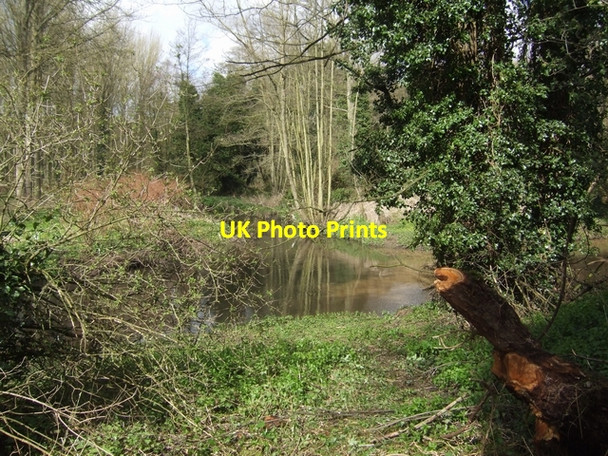Photo 6"x4" Confluence of River Stour and Smestow Brook (River) Stourbridge c2008