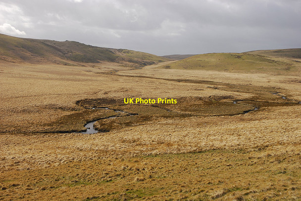 Photo 6"x4" The infant Afon Elan Bodtalog c2008