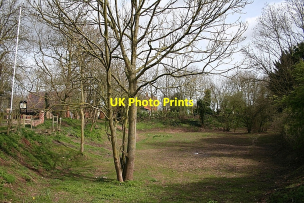 Photo 6"x4" Chaceley Village Green Chaceley c2008