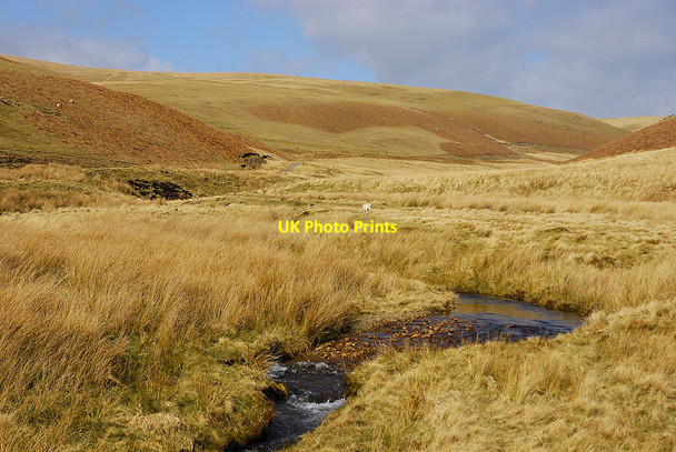 Photo 6"x4" Cwm Nant y Ffald Dolhelfa c2008