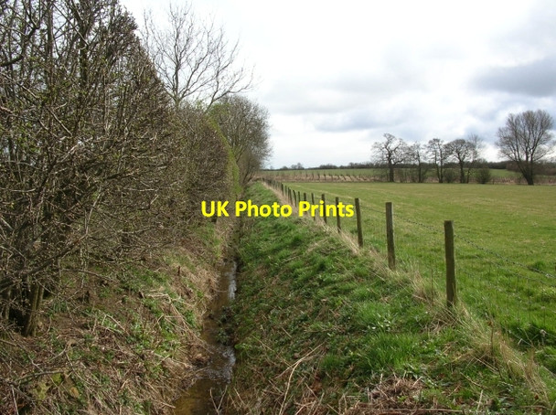 Photo 6"x4" Goit at Whitwell on the Hill point to point course Barton Hill\/SE7064 c2008
