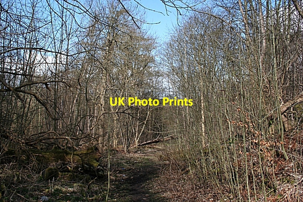 Photo 6"x4" West Quarry Charlestown\/NT0683 c2008