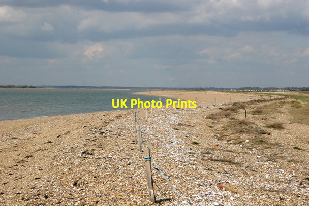 Photo 6"x4" Nature Reserve Lee-over-Sands c2008
