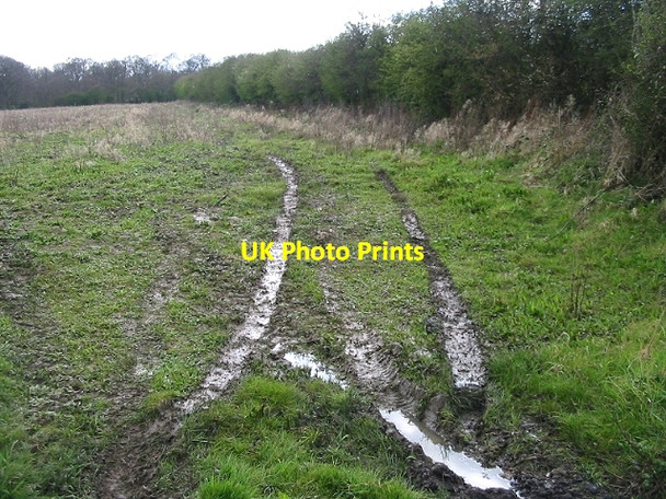 Photo 6"x4" Muddy entrance to the field off Fox's Cross Road Pean Hill c2008