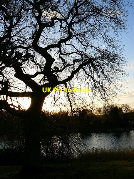 Photo 6"x4" Coate Water country park, Swindon Coate\/SU1882 c2008