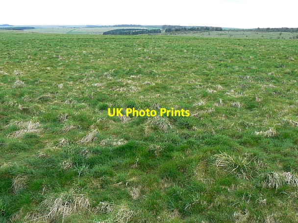 Photo 6"x4" Cheverell Down, Wiltshire Imber c2008