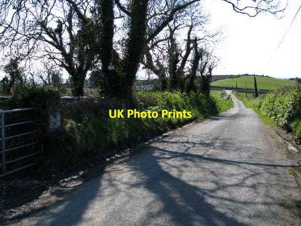 Photo 6"x4" Ballybryan Road near Kirkubbin Greyabbey c2008