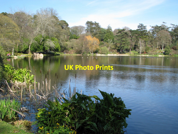 Photo 6"x4" In the grounds of Mount Stewart [2] Greyabbey c2008