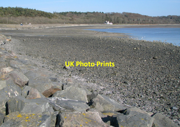 Photo 6"x4" Shoreline at Cunningburn Carrowdore c2008