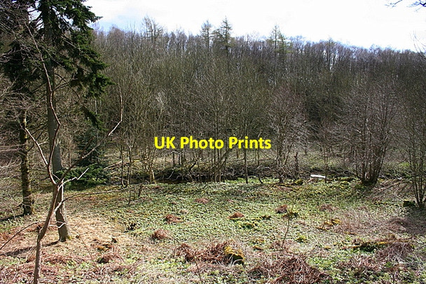Photo 6"x4" Guynd Den Bonnington Smiddy c2008