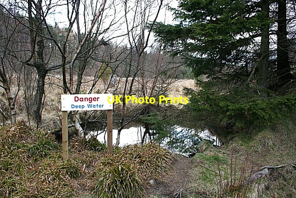 Photo 6"x4" Forest Pond Huntly c2008