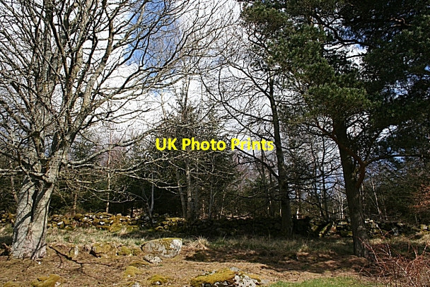 Photo 6"x4" Crow Wood near Robieston Huntly c2008