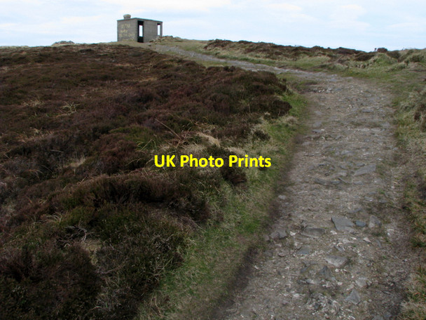 Photo 6"x4" Path to Coastguard Hill Dunfanaghy c2008