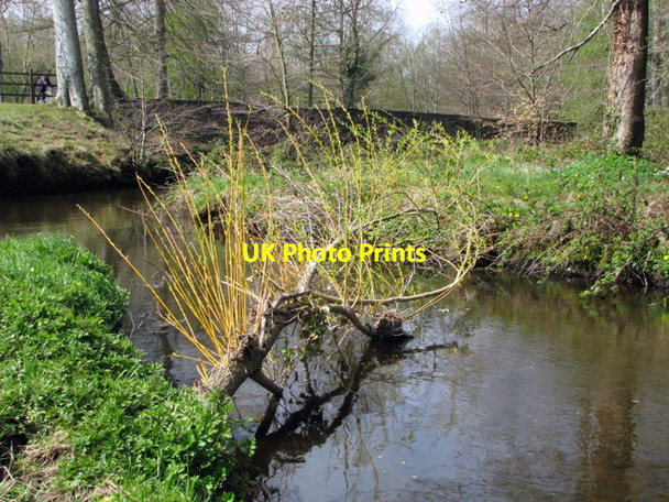 Photo 6"x4" Fallen tree at Minnowburn Drumbeg\/J3066 c2008