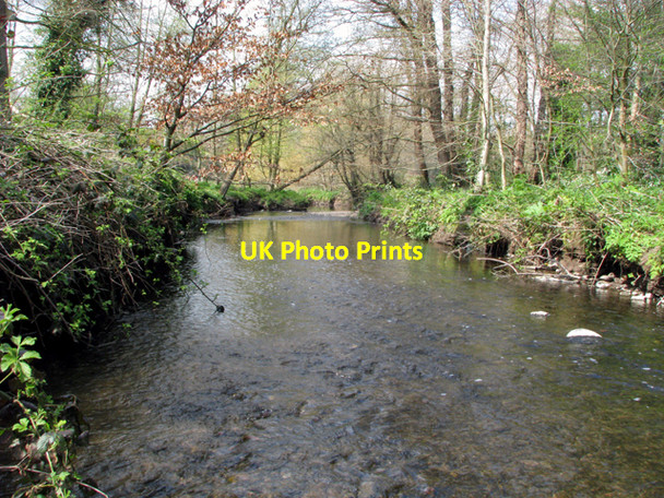 Photo 6"x4" The Minnowburn approaching the Lagan Drumbeg\/J3066 c2008