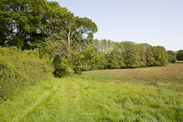 Photo 6"x4" Footpath about to enter Blundell's Copse Durley\/SU5116 c2009