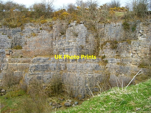Photo 6"x4" Hewer Hill Quarry, southern end Hewer Hill c2008