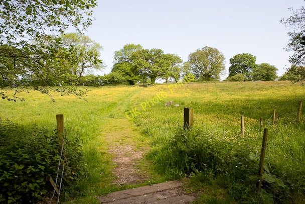 Photo 6"x4" Footpath approaching Chancellors Lane Durley\/SU5116 c2009