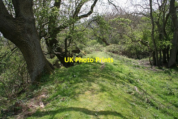 Photo 6"x4" Iron-Age Defences Hollybush\/SO7636 c2008