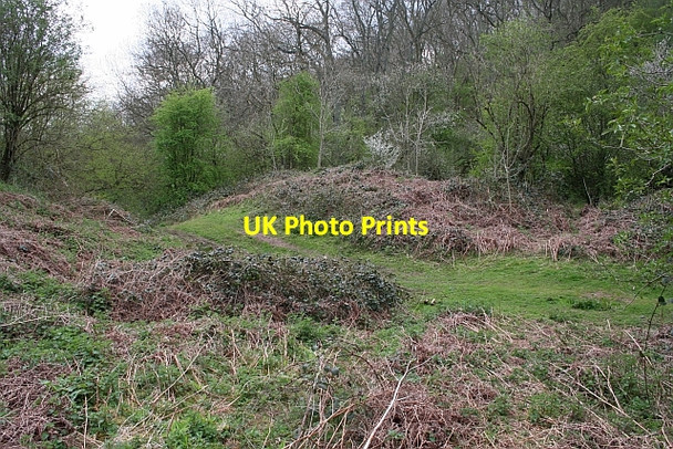 Photo 6"x4" Southern Gateway, Midsummer Hill Iron-Age Fort Hollybush\/SO7636 c2008