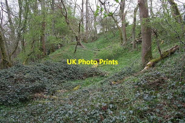 Photo 6"x4" Iron Age Hill Fort Defences Hollybush\/SO7636 c2008