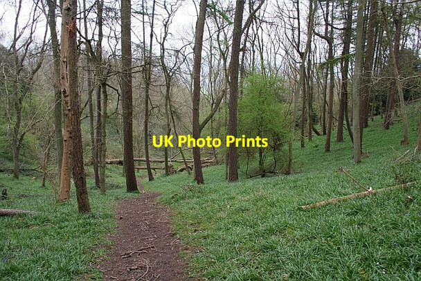 Photo 6"x4" Looking down the Steep Path from Midsummer Hill Hollybush\/SO7636 c2008