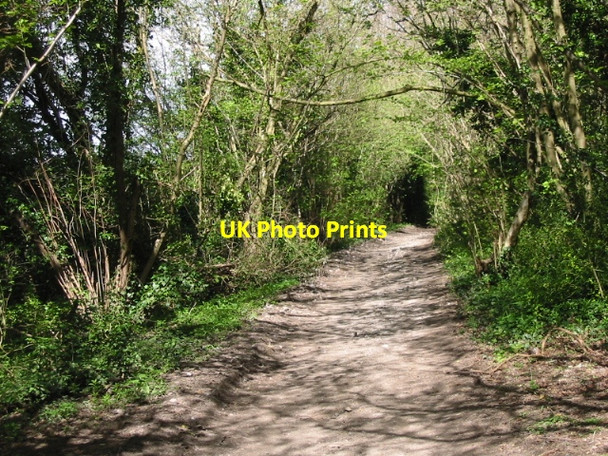 Photo 6"x4" View along the Old Wye Lane, part of the Stour Valley Walk Bagham c2008