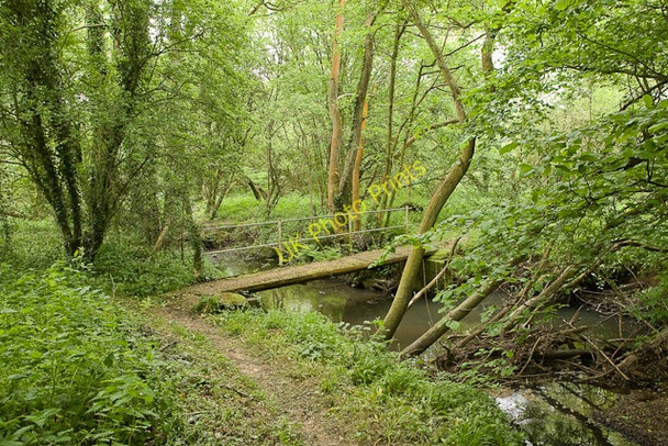 Photo 6"x4" Footbridge over Ford Lake Durley\/SU5116 c2009