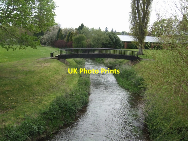 Photo 6"x4" River Tern downstream of A529 bridge Market Drayton c2008